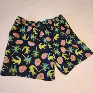 Men's Bathing Suit Size Large